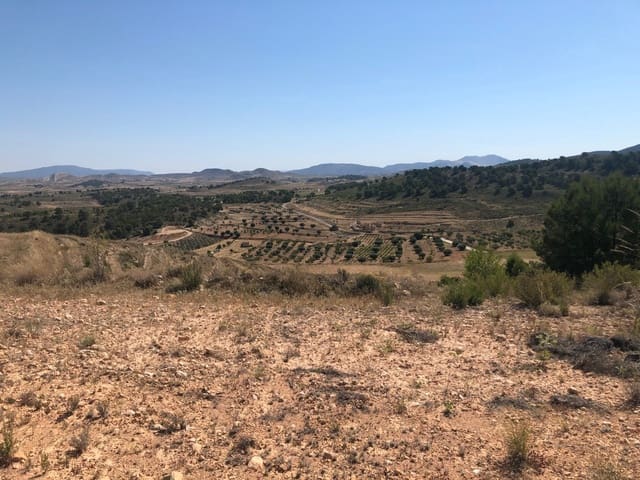 Terre non Aménagée à vendre à La Zarza, Jumilla - 59 900 € (Ref: 9687236)