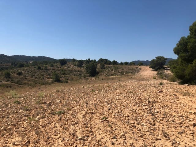 Terre non Aménagée à vendre à La Zarza, Jumilla - 59 900 € (Ref: 9687236)