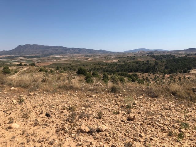 Terre non Aménagée à vendre à La Zarza, Jumilla - 59 900 € (Ref: 9687236)