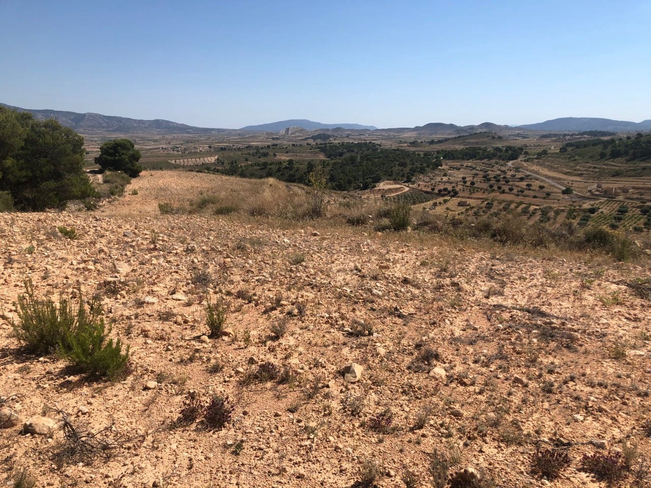 Undeveloped Land for sale in La Zarza - € 59,900 (Ref: 9687236)