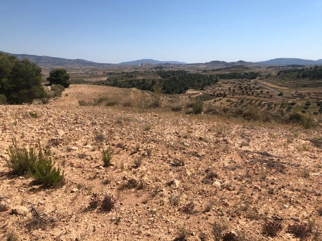 Terre non Aménagée à vendre à La Zarza, Jumilla - 59 900 € (Ref: 9687236)