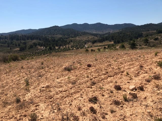 Terre non Aménagée à vendre à La Zarza, Jumilla - 59 900 € (Ref: 9687236)
