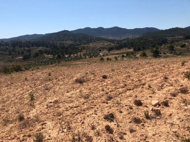 Grunde uden byggetilladelser til salg i La Zarza, Jumilla - € 59.900 (Ref: 9687236)