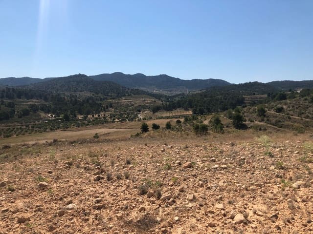 Grunde uden byggetilladelser til salg i La Zarza, Jumilla - € 59.900 (Ref: 9687236)