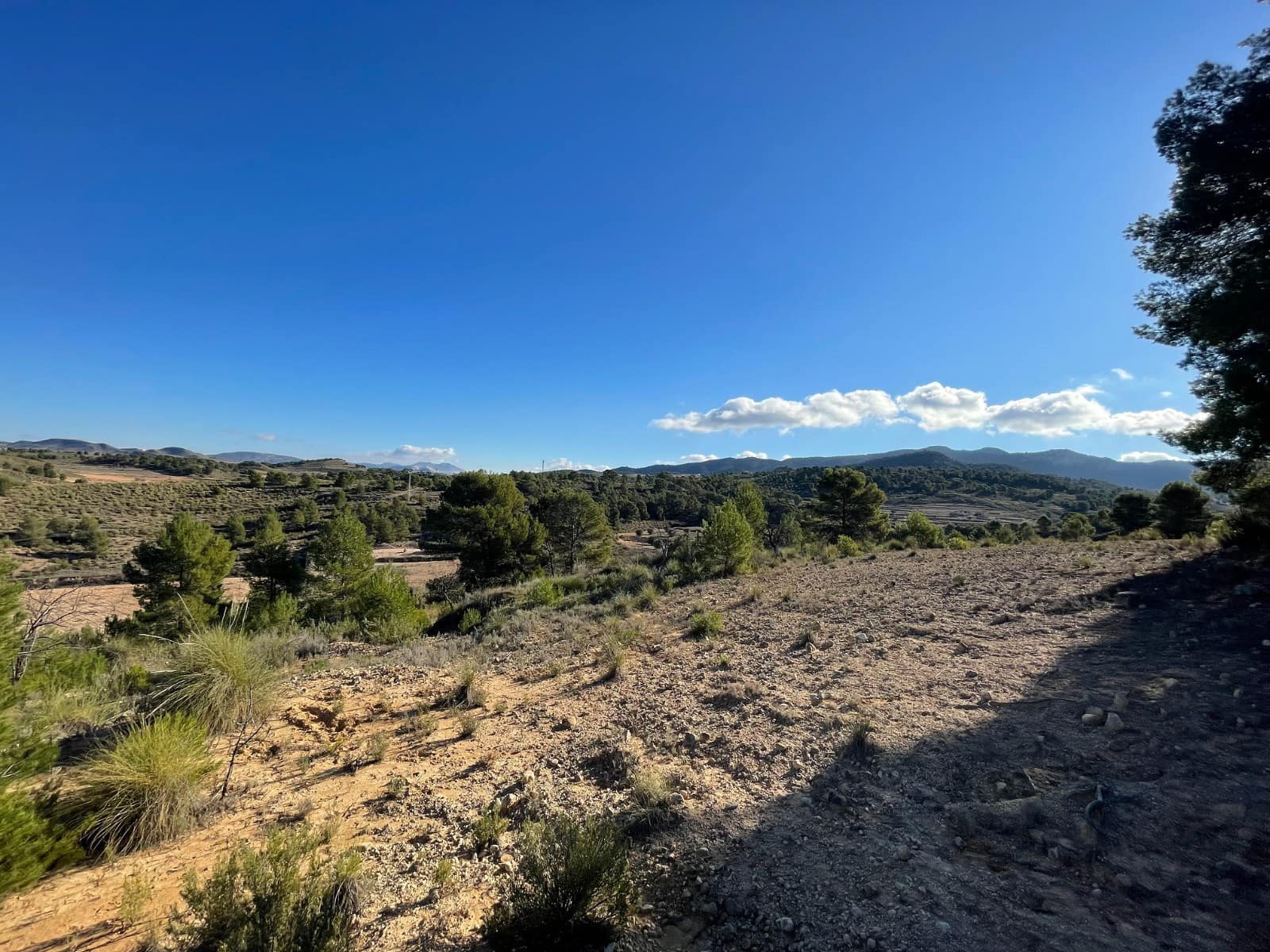 Terre non Aménagée à vendre à La Zarza - 34 900 € (Ref: 9687237)