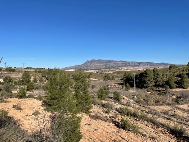 Terre non Aménagée à vendre à La Zarza, Jumilla - 34 900 € (Ref: 9687237)