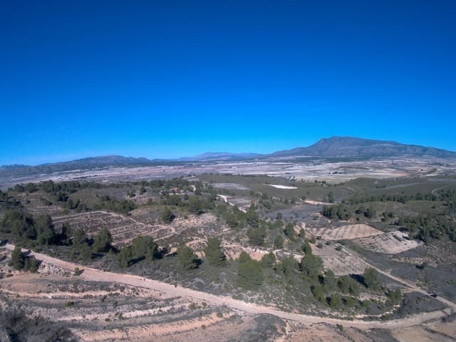 Terre non Aménagée à vendre à La Zarza, Jumilla - 34 900 € (Ref: 9687237)