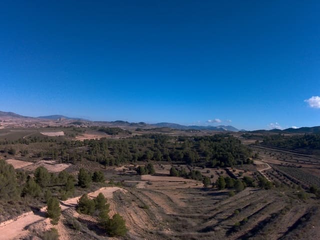 Terre non Aménagée à vendre à La Zarza, Jumilla - 34 900 € (Ref: 9687237)
