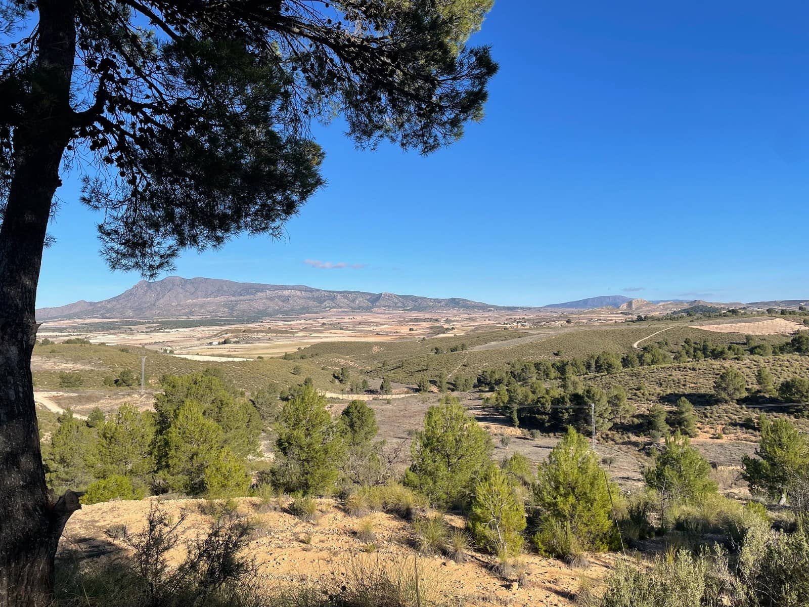 Terre non Aménagée à vendre à La Zarza - 34 900 € (Ref: 9687237)