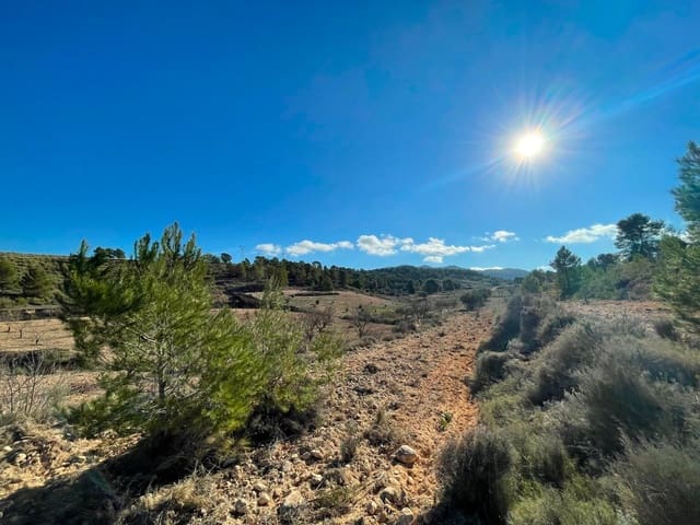 Grunde uden byggetilladelser til salg i La Zarza, Jumilla - € 34.900 (Ref: 9687237)