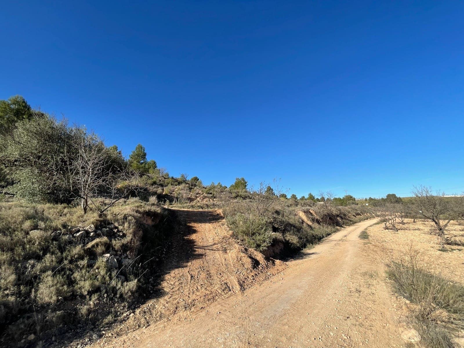 Undeveloped Land for sale in La Zarza - € 34,900 (Ref: 9687238)