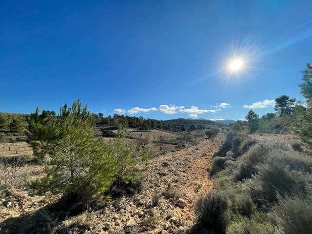 Terre non Aménagée à vendre à La Zarza, Jumilla - 34 900 € (Ref: 9687238)