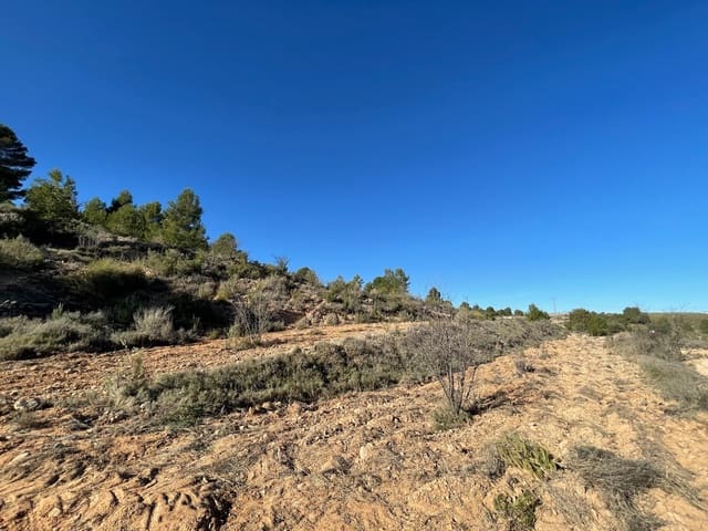 Terre non Aménagée à vendre à La Zarza, Jumilla - 34 900 € (Ref: 9687238)