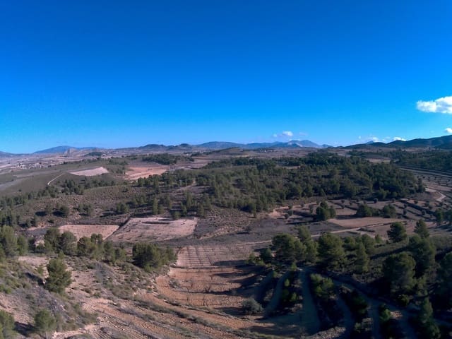 Terre non Aménagée à vendre à La Zarza, Jumilla - 34 900 € (Ref: 9687238)