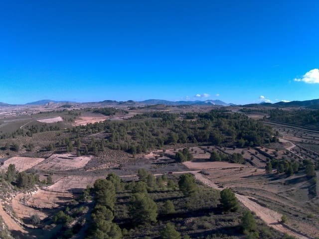 Terre non Aménagée à vendre à La Zarza, Jumilla - 34 900 € (Ref: 9687238)