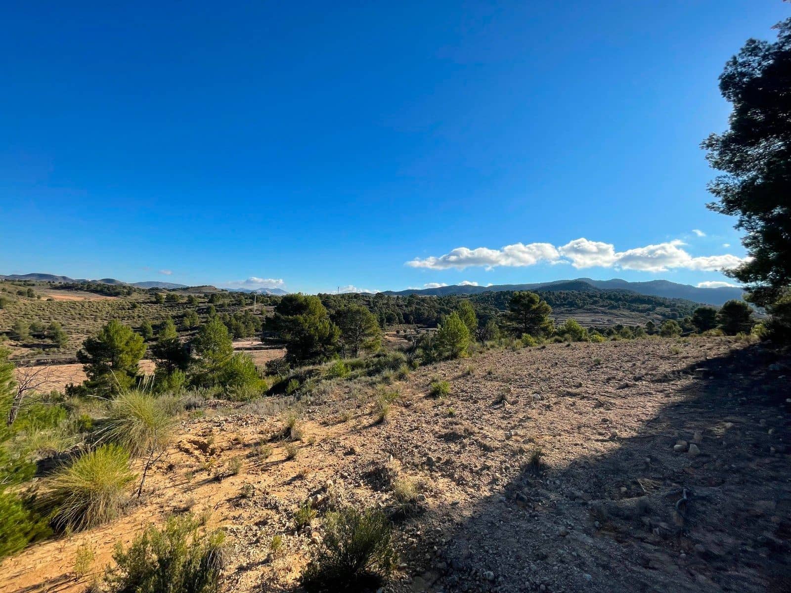 Undeveloped Land for sale in La Zarza - € 34,900 (Ref: 9687238)