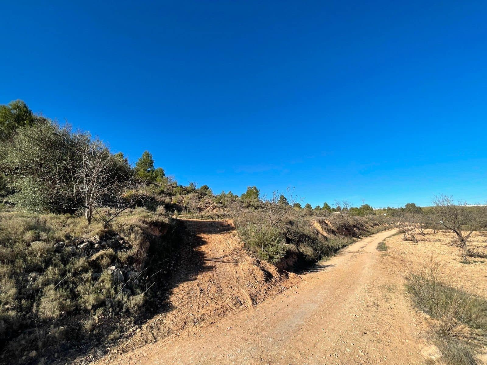 Undeveloped Land for sale in La Zarza - € 34,900 (Ref: 9687238)