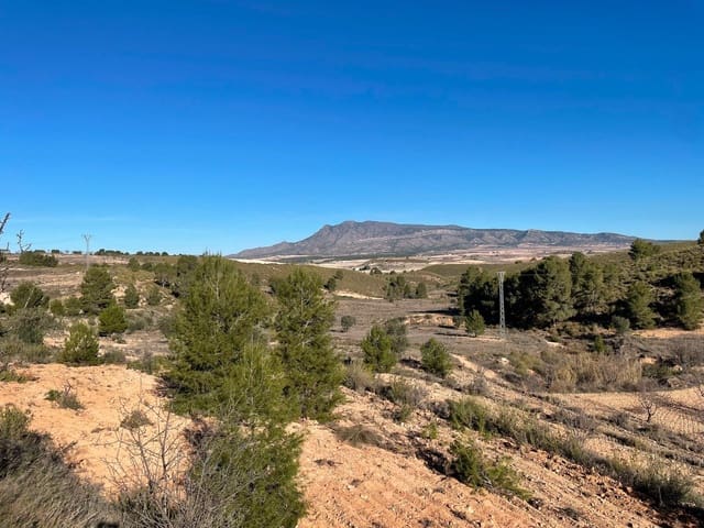 Grunde uden byggetilladelser til salg i La Zarza, Jumilla - € 34.900 (Ref: 9687238)