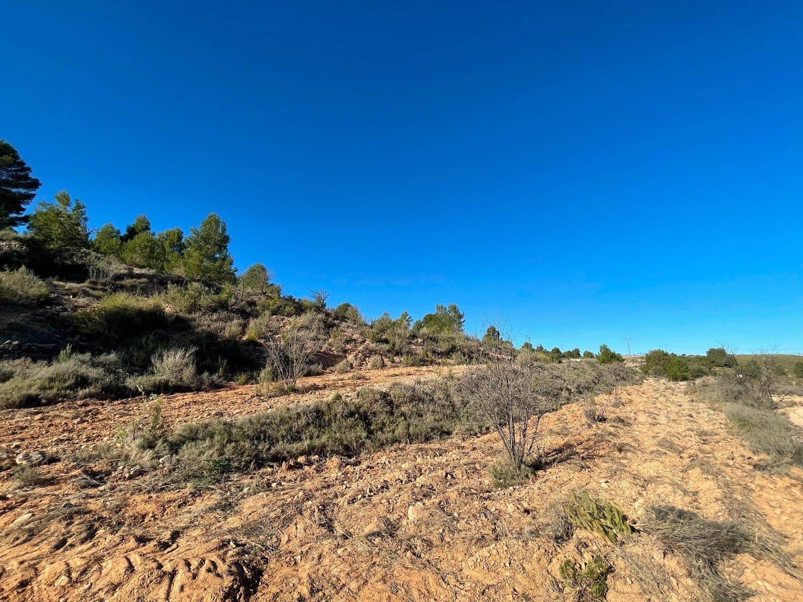 Undeveloped Land for sale in La Zarza - € 34,900 (Ref: 9687238)