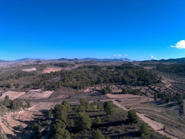 Grunde uden byggetilladelser til salg i La Zarza, Jumilla - € 34.900 (Ref: 9687238)