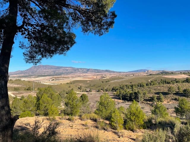 Grunde uden byggetilladelser til salg i La Zarza, Jumilla - € 34.900 (Ref: 9687238)