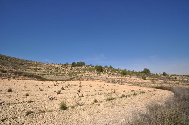 Grond te koop in La Zarza, Jumilla - € 59.900 (Ref: 9687239)