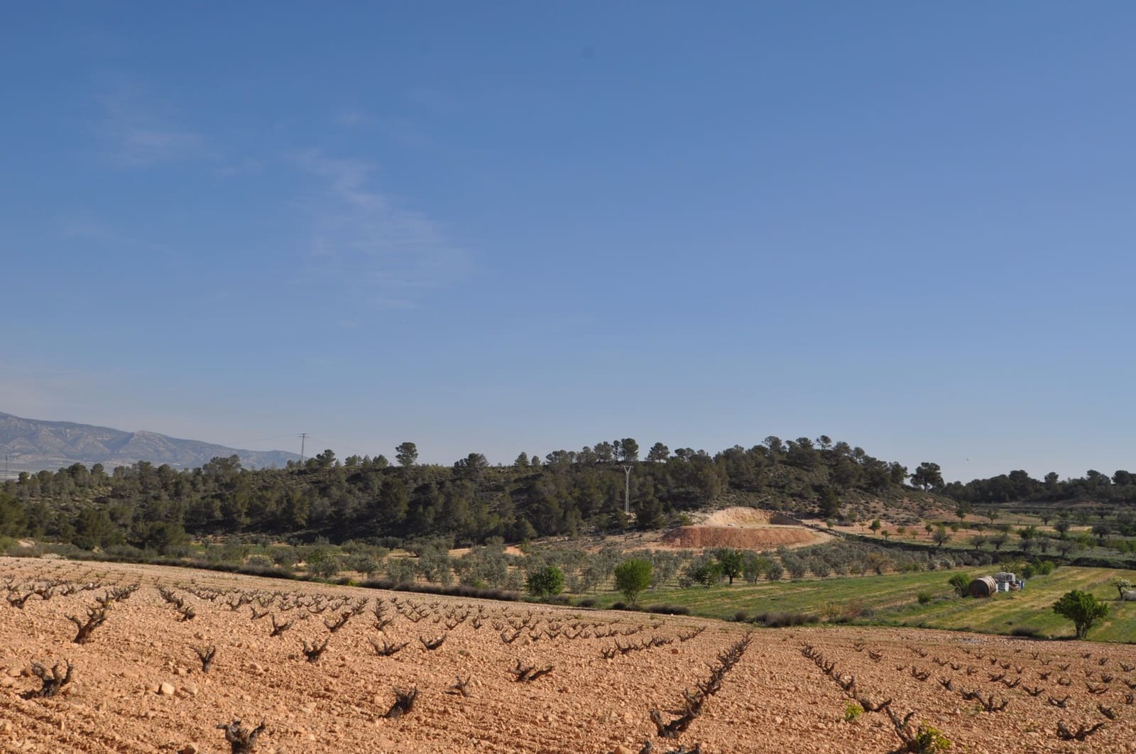 Undeveloped Land for sale in La Zarza - € 59,900 (Ref: 9687239)