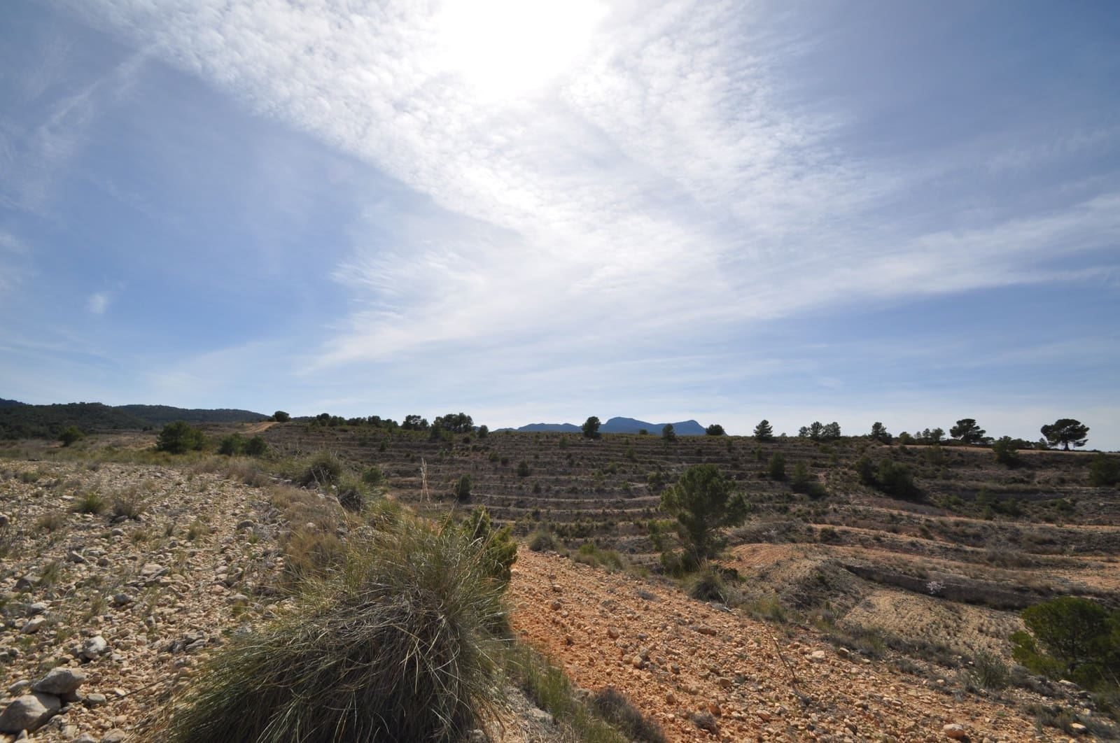 Undeveloped Land for sale in La Zarza - € 59,900 (Ref: 9687239)