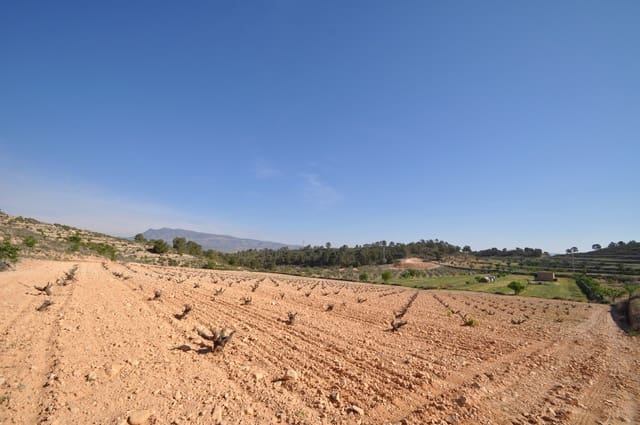 Undeveloped Land for sale in La Zarza, Jumilla - € 59,900 (Ref: 9687239)