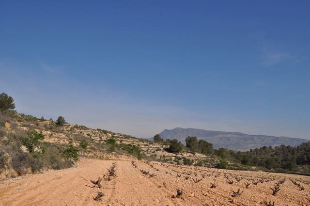 Undeveloped Land for sale in La Zarza, Jumilla - € 59,900 (Ref: 9687239)