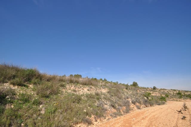 Undeveloped Land for sale in La Zarza, Jumilla - € 59,900 (Ref: 9687239)