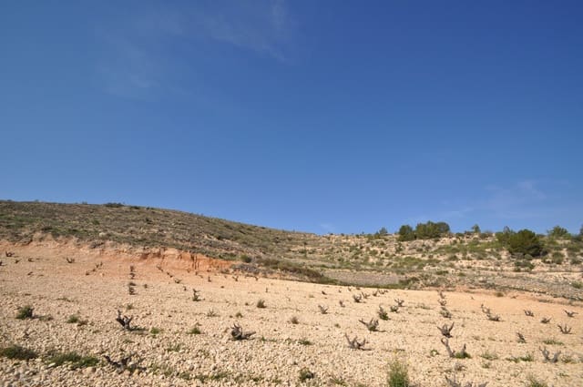 Undeveloped Land for sale in La Zarza, Jumilla - € 59,900 (Ref: 9687239)