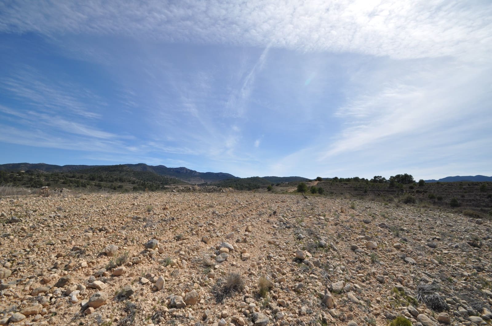 Undeveloped Land for sale in La Zarza - € 59,900 (Ref: 9687239)