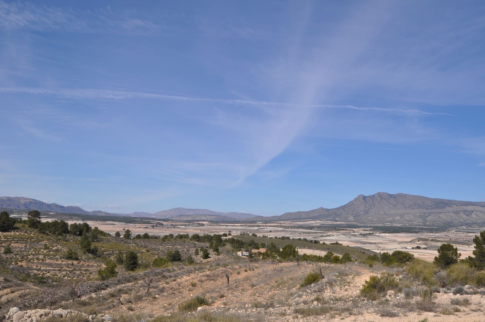 Undeveloped Land for sale in La Zarza - € 59,900 (Ref: 9687239)