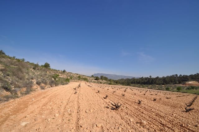 Undeveloped Land for sale in La Zarza, Jumilla - € 59,900 (Ref: 9687239)