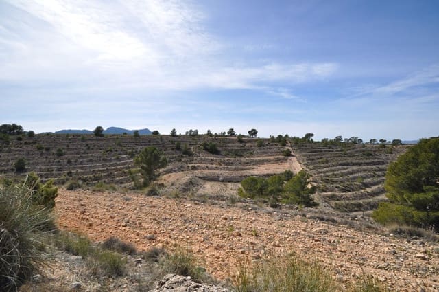 Grunde uden byggetilladelser til salg i La Zarza, Jumilla - € 59.900 (Ref: 9687239)