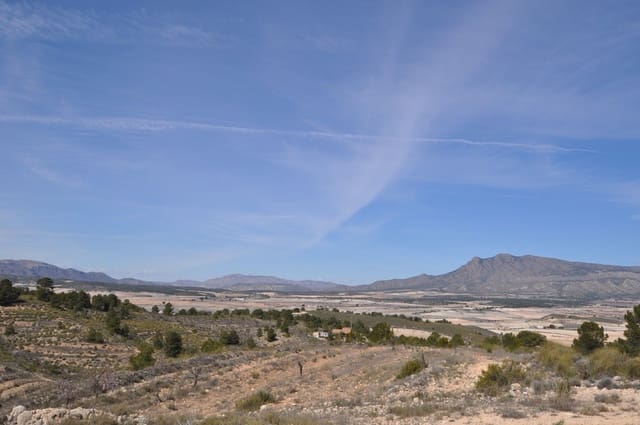 Grunde uden byggetilladelser til salg i La Zarza, Jumilla - € 59.900 (Ref: 9687239)