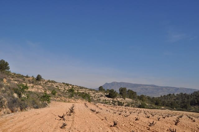 Grunde uden byggetilladelser til salg i La Zarza, Jumilla - € 59.900 (Ref: 9687239)