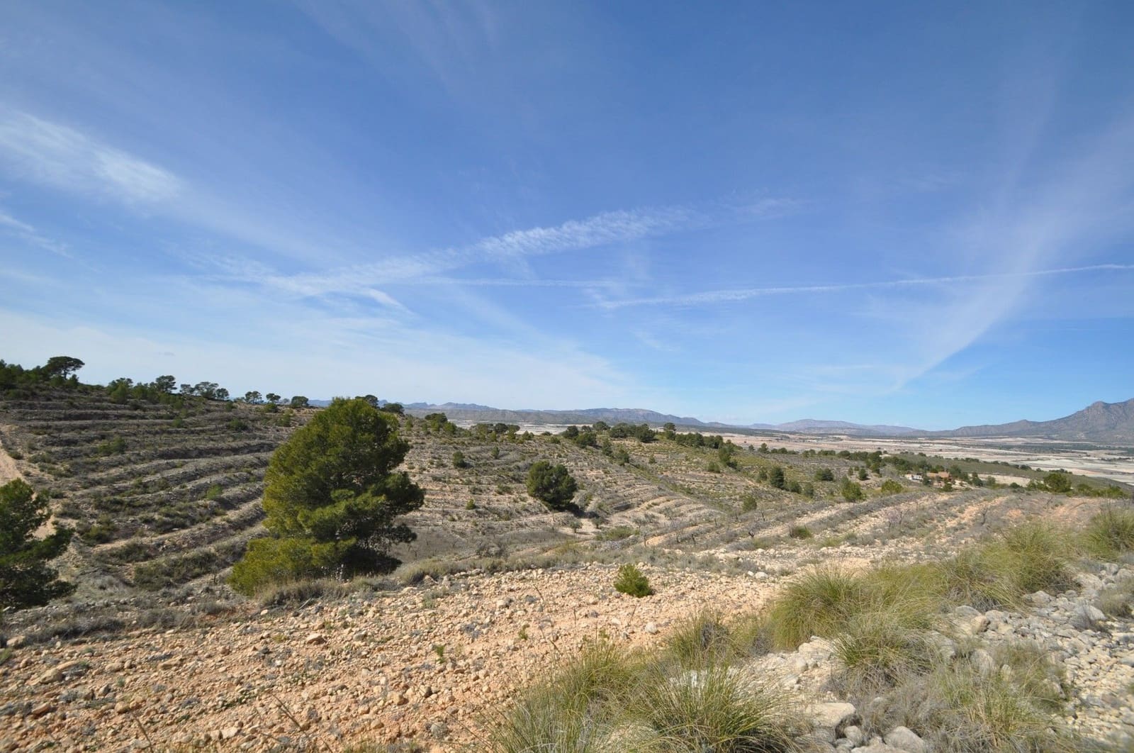Undeveloped Land for sale in La Zarza - € 59,900 (Ref: 9687239)