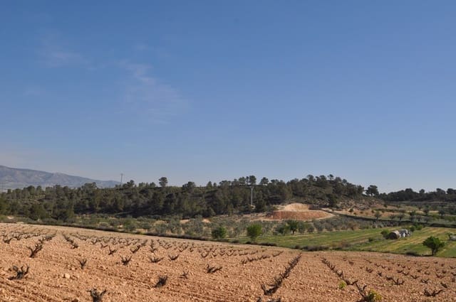 Grunde uden byggetilladelser til salg i La Zarza, Jumilla - € 59.900 (Ref: 9687239)