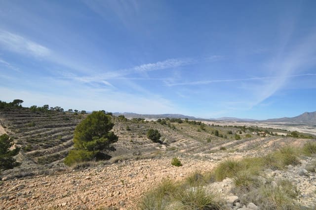Grunde uden byggetilladelser til salg i La Zarza, Jumilla - € 59.900 (Ref: 9687239)