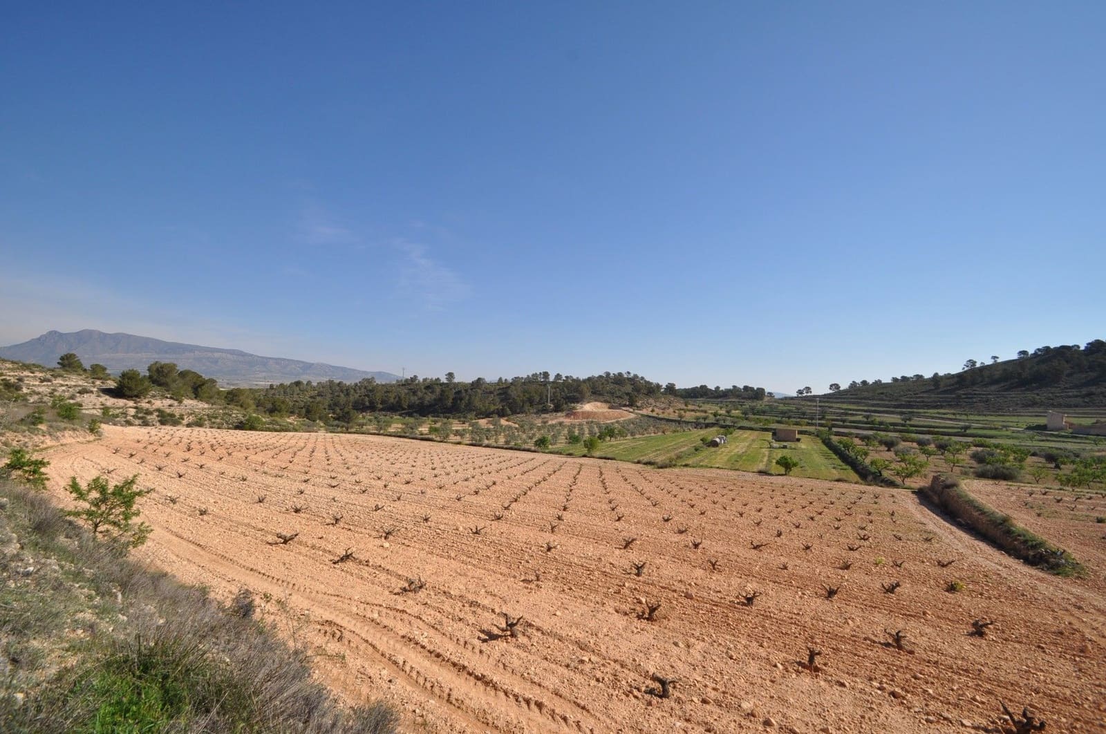 Undeveloped Land for sale in La Zarza - € 59,900 (Ref: 9687239)