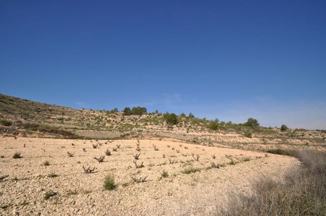 Grunde uden byggetilladelser til salg i La Zarza, Jumilla - € 59.900 (Ref: 9687239)