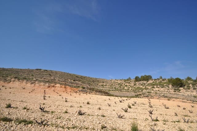Grunde uden byggetilladelser til salg i La Zarza, Jumilla - € 59.900 (Ref: 9687239)