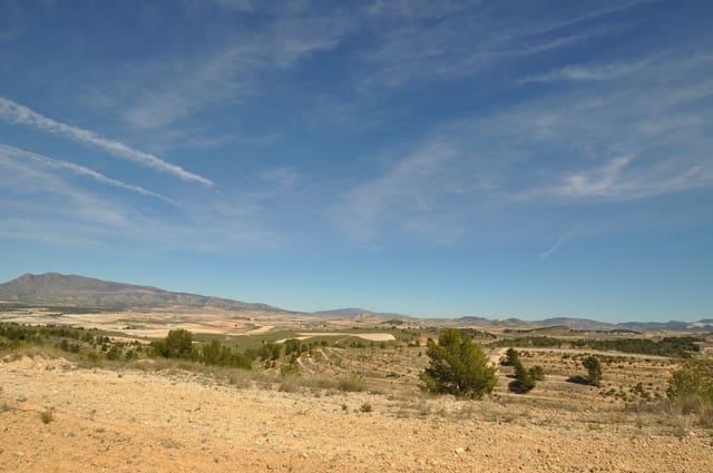 Undeveloped Land for sale in La Zarza, Jumilla - € 39,900 (Ref: 9687240)