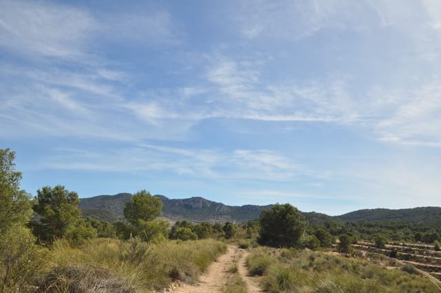Undeveloped Land for sale in La Zarza, Jumilla - € 39,900 (Ref: 9687240)