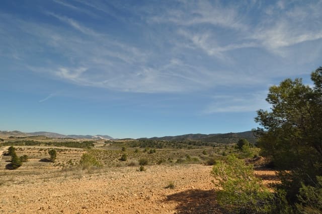 Undeveloped Land for sale in La Zarza, Jumilla - € 39,900 (Ref: 9687240)