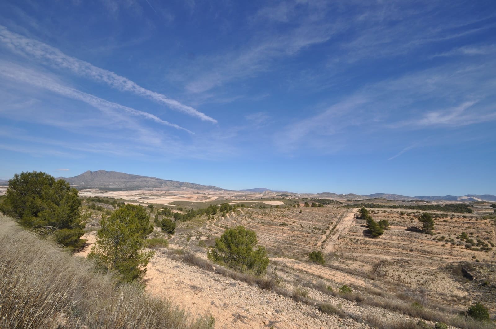 Undeveloped Land for sale in La Zarza - € 39,900 (Ref: 9687240)