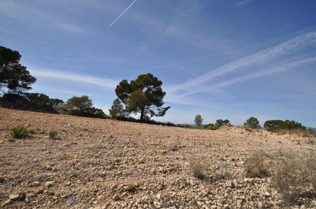 Undeveloped Land for sale in La Zarza, Jumilla - € 39,900 (Ref: 9687240)