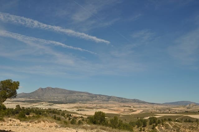 Undeveloped Land for sale in La Zarza, Jumilla - € 39,900 (Ref: 9687240)